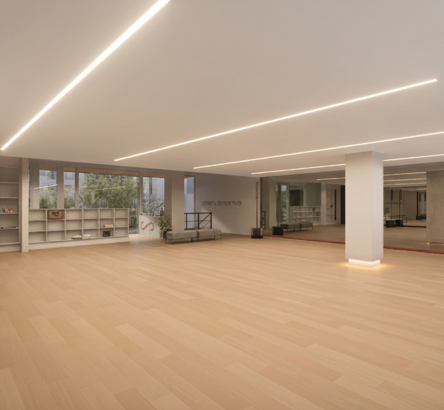 Estudio de CharlyDance Hub con piso de madera e iluminación en el techo.